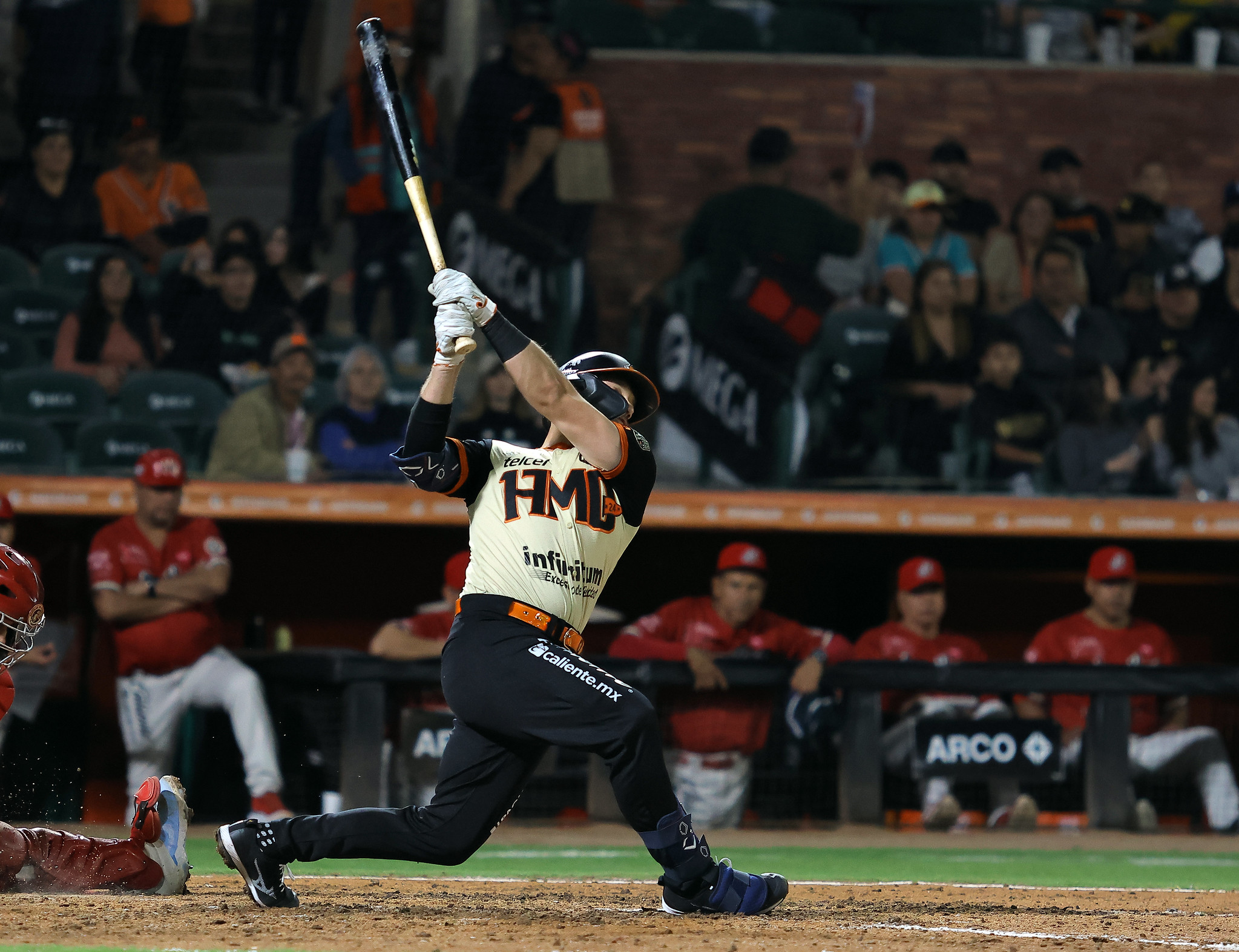 Naranjeros de Hermosillo LMP beisbol