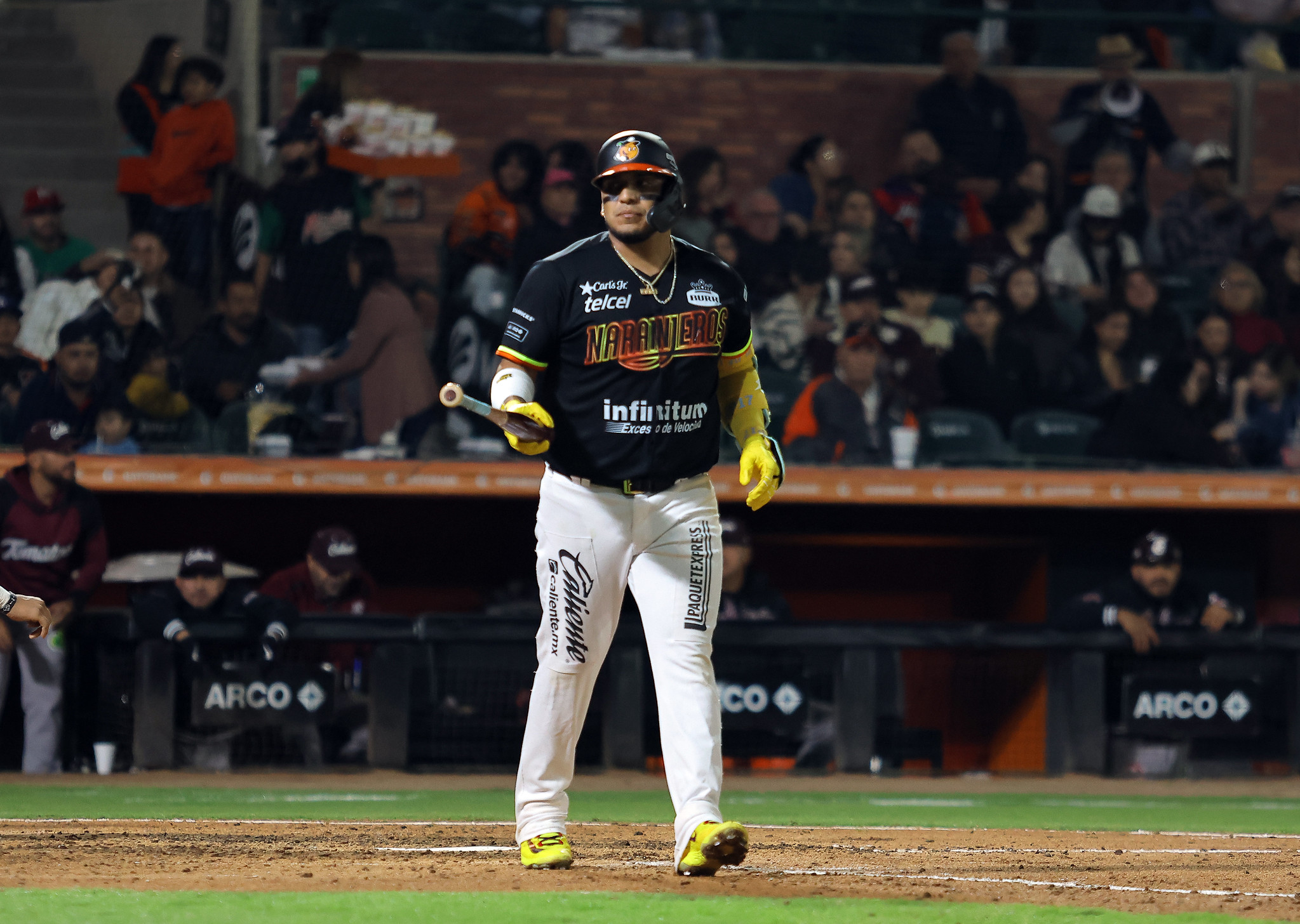 Isaac Paredes Naranjeros LMP