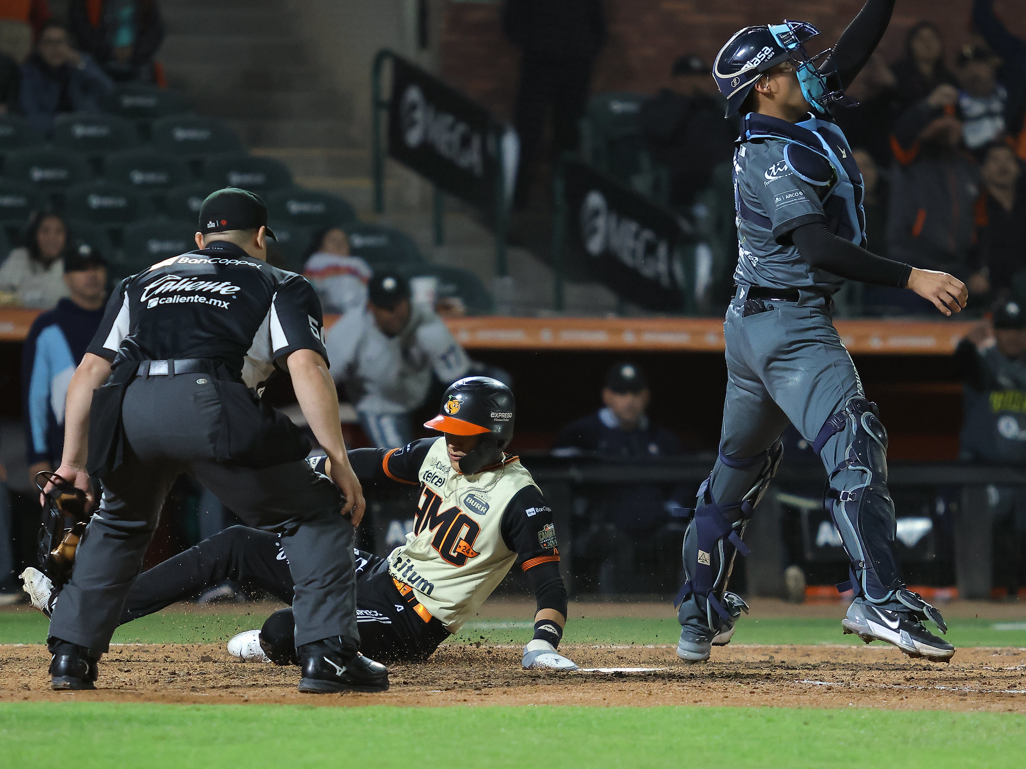 Naranjeros de Hermosillo LMP beisbol