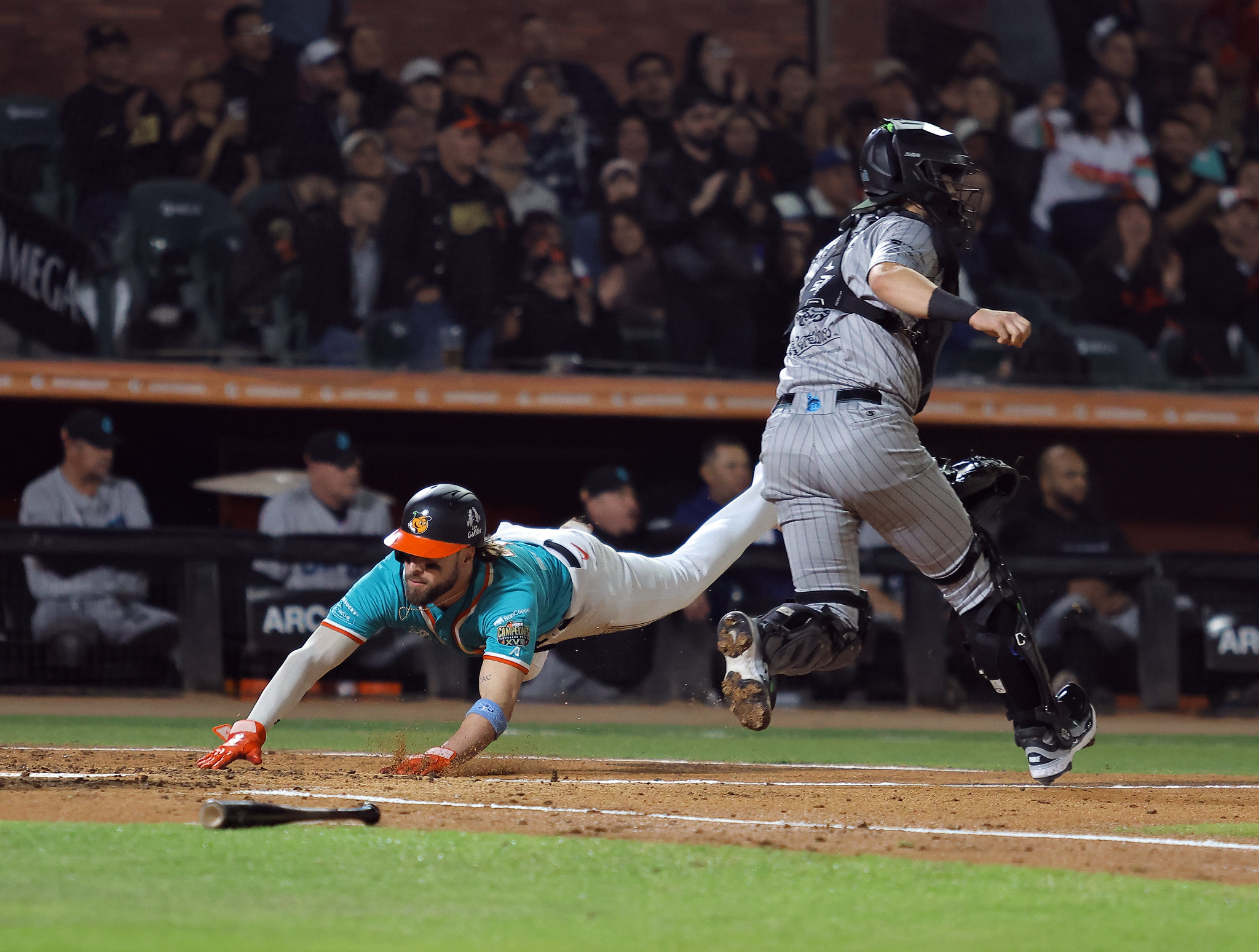 Naranjeros de Hermosillo LMP beisbol