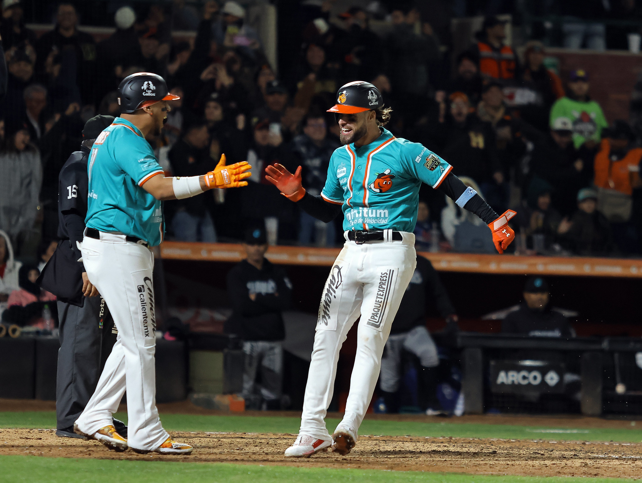 Naranjeros de Hermosillo LMP beisbol