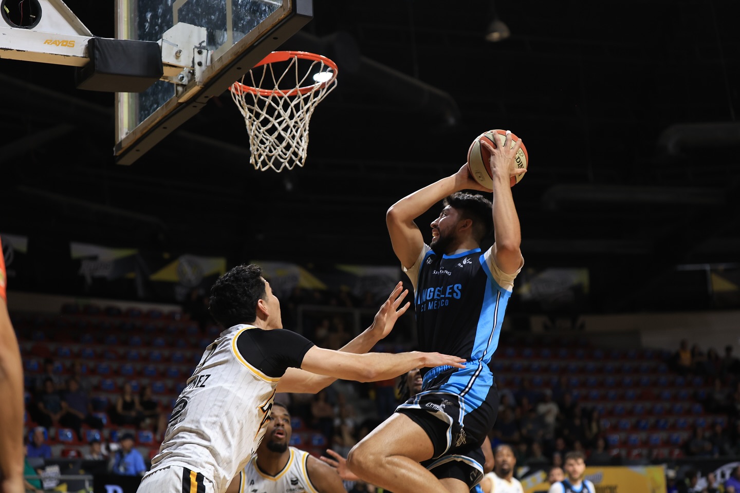 Rayos de Hermosillo Cibacopa basquetbol