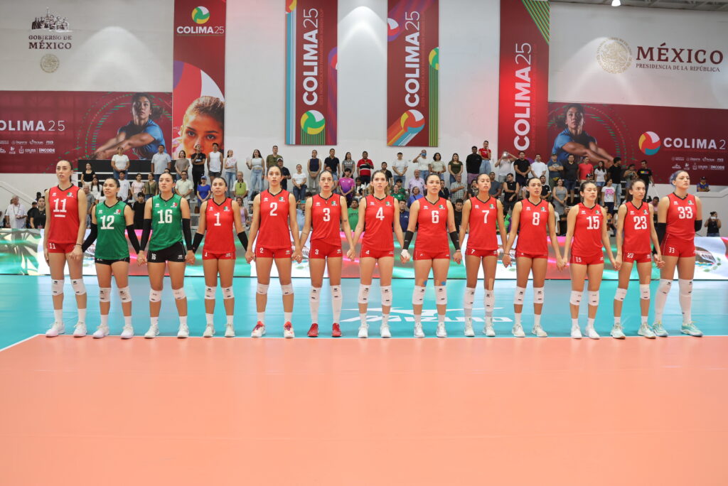 Karina Flores Argentina Ung voleibol