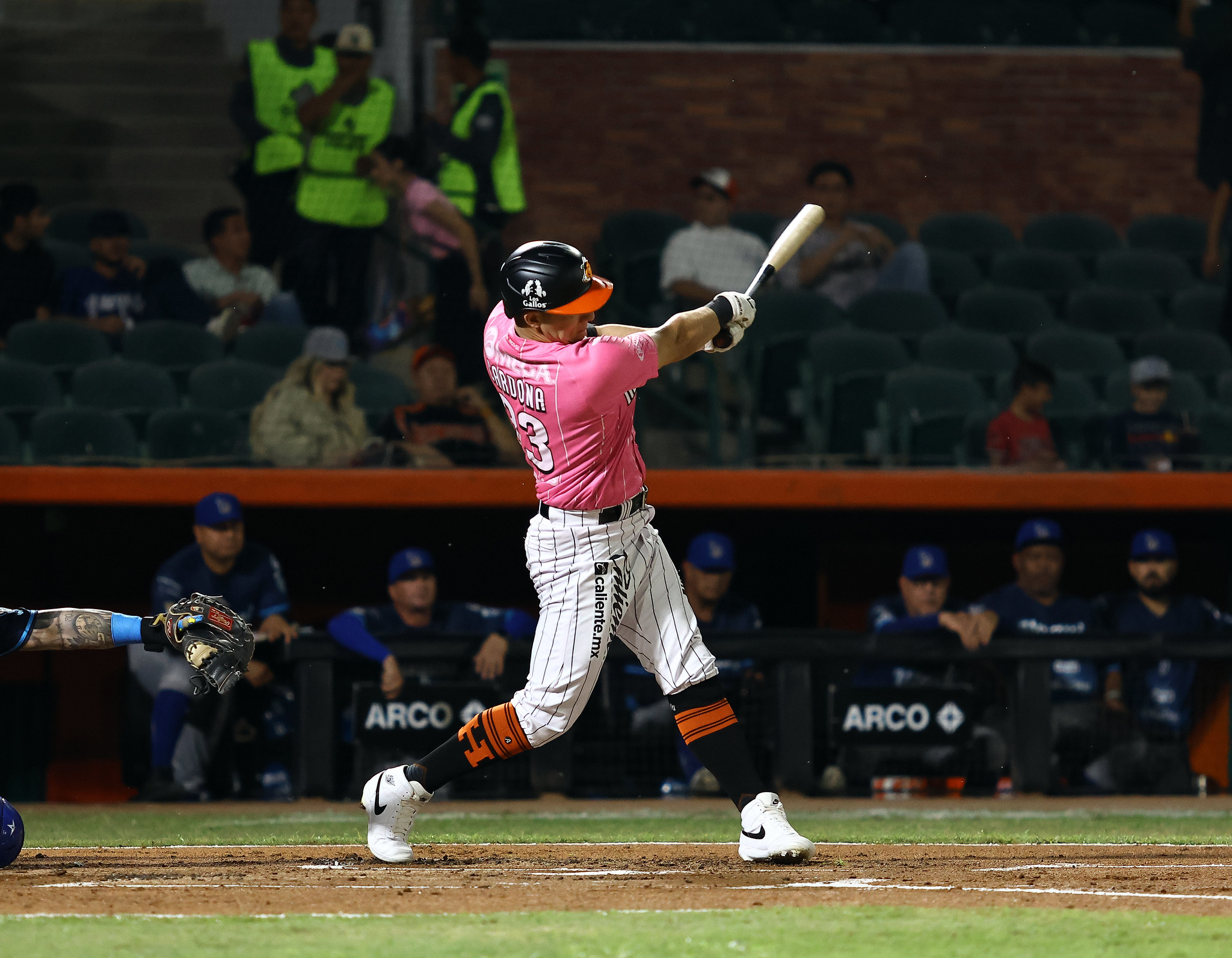 Naranjeros de Hermosillo LMP beisbol