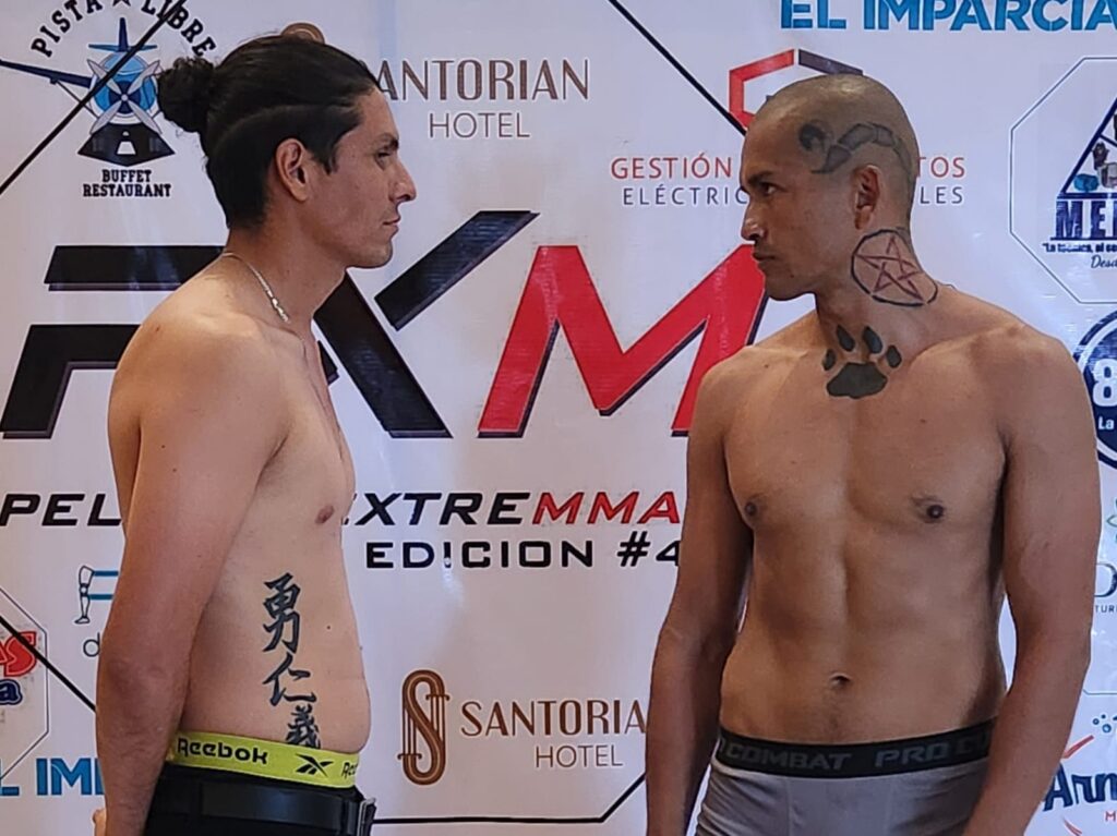 Artes marciales mixtas