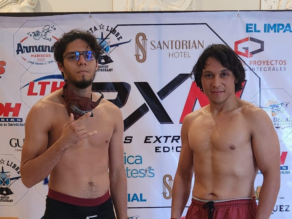 Artes marciales mixtas