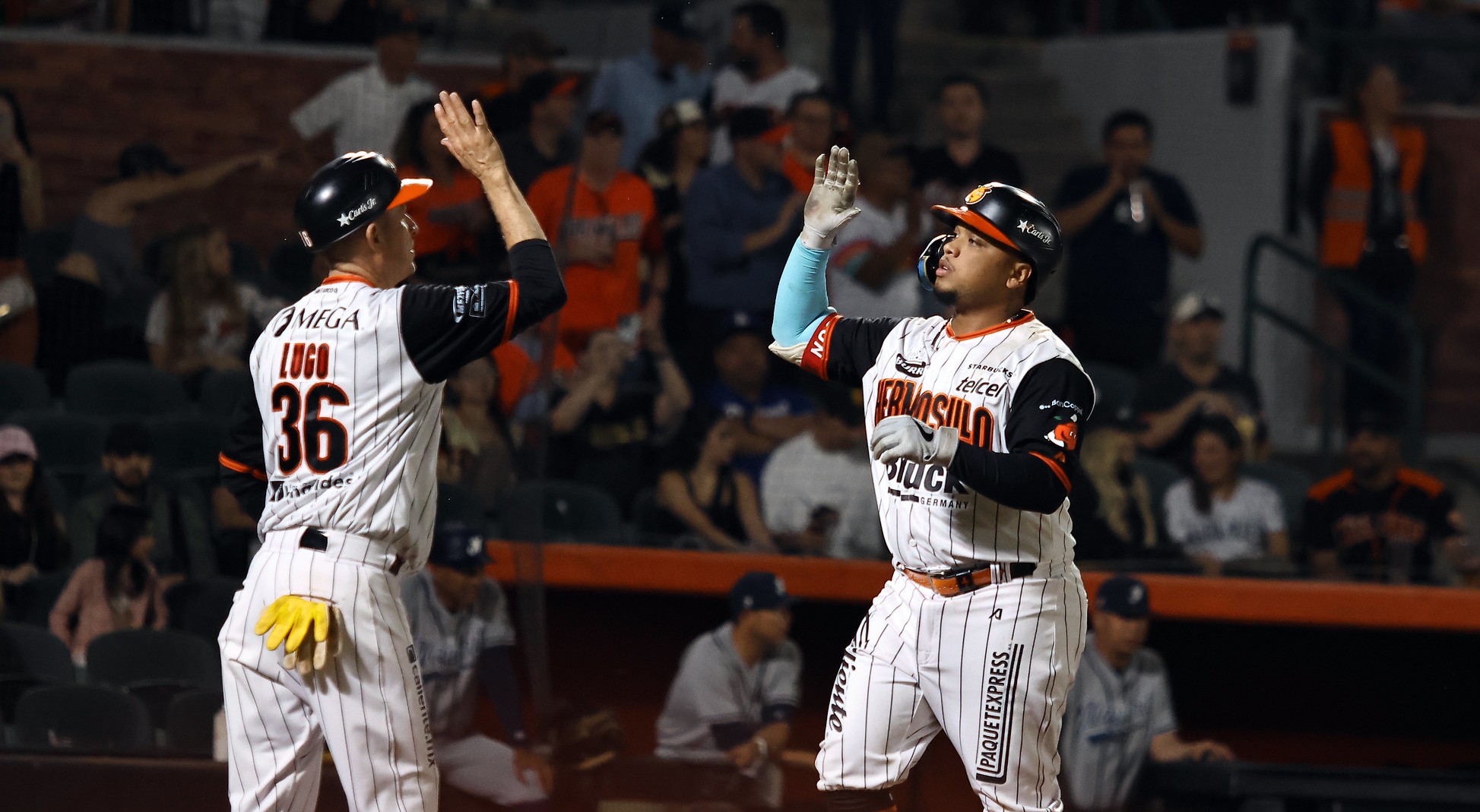 Naranjeros de Hermosillo LMP beisbol