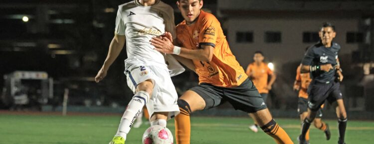 Soles de Sonora futbol Tercera División Profesional TDP