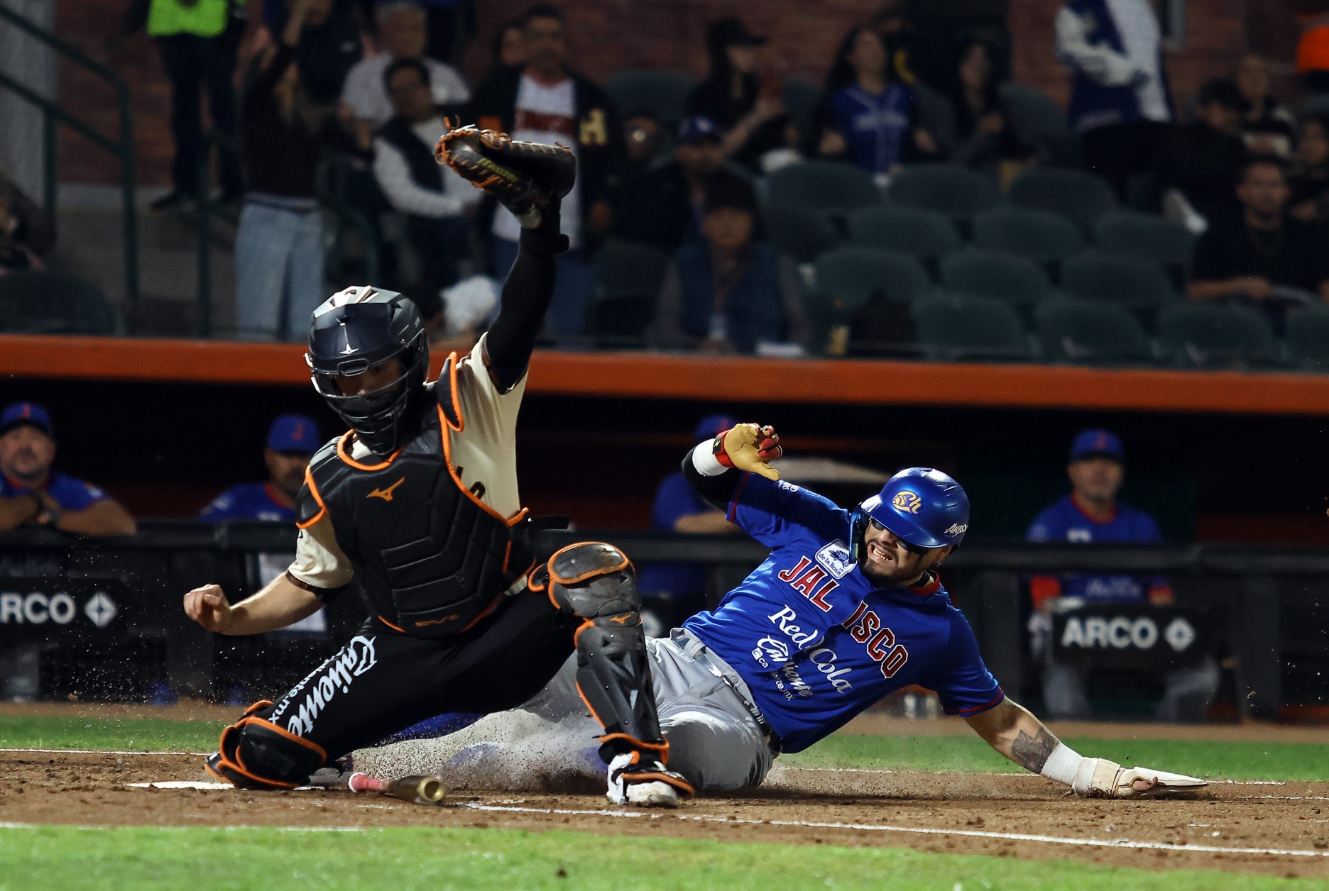 Naranjeros de Hermosillo LMP beisbol