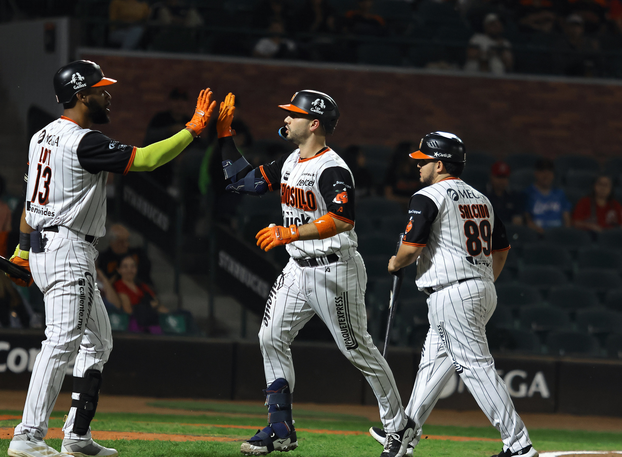 Naranjeros de Hermosillo LMP beisbol