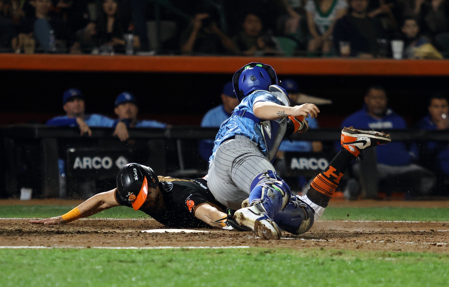 Naranjeros de Hermosillo LMP beisbol
