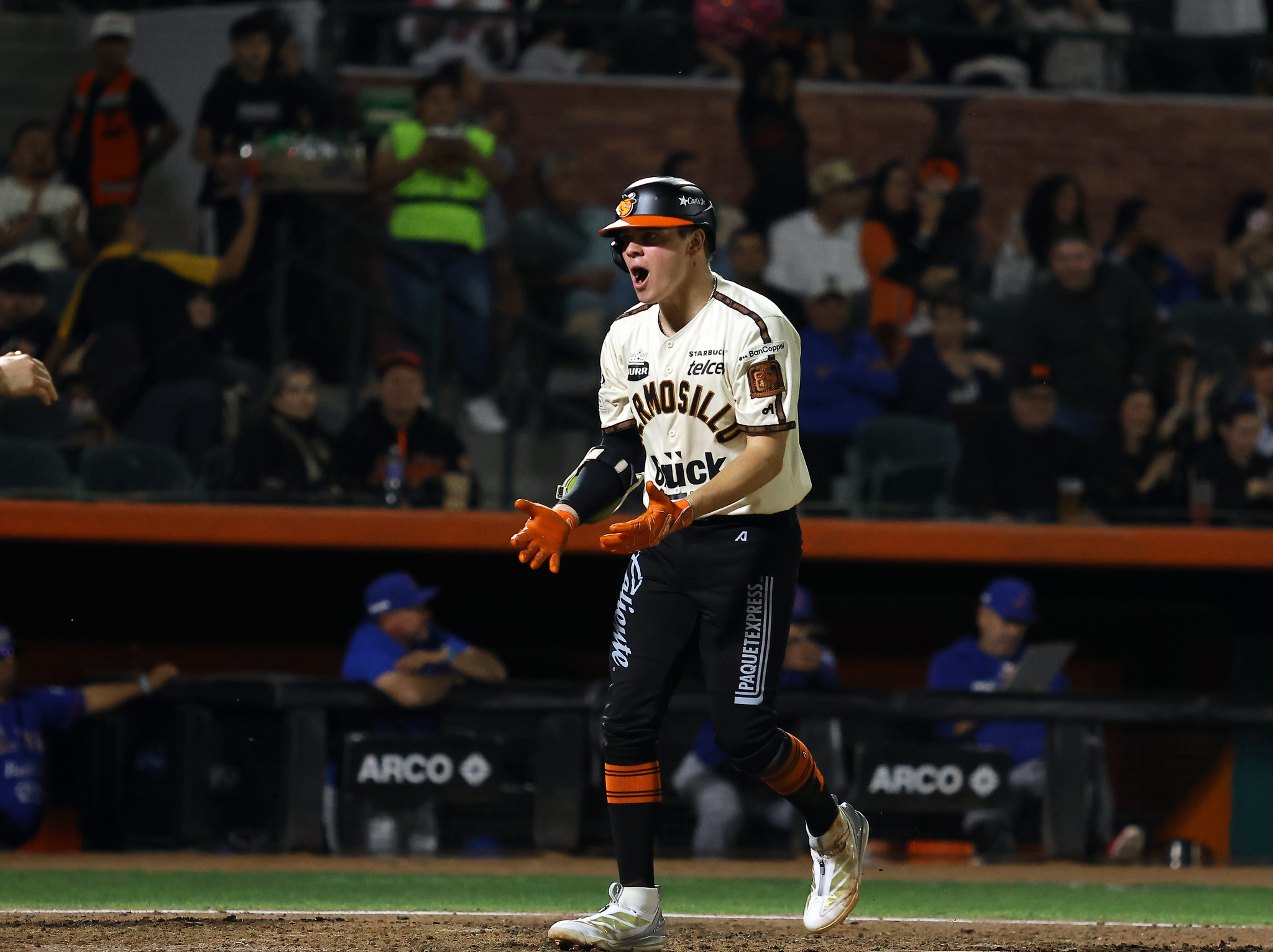 Naranjeros de Hermosillo LMP beisbol