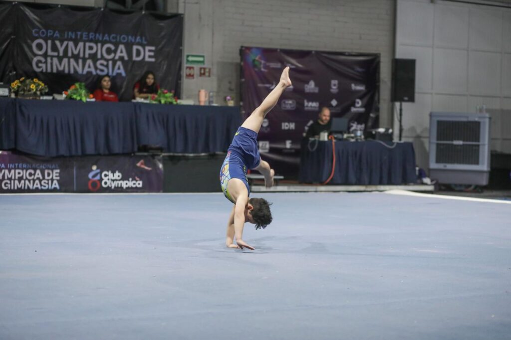 Gimnasia artística