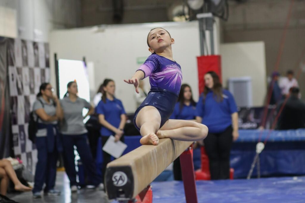 Gimnasia artística