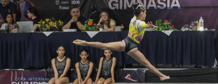 Gimnasia artística