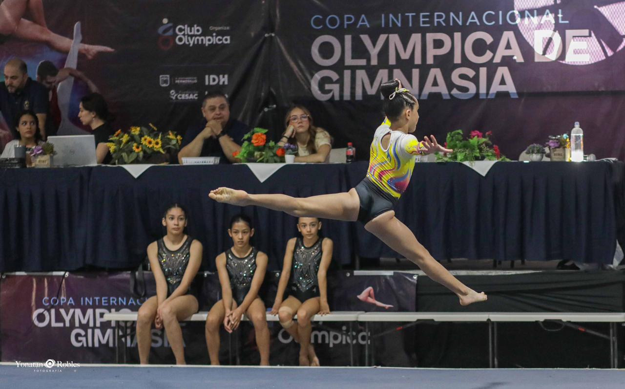 Gimnasia artística