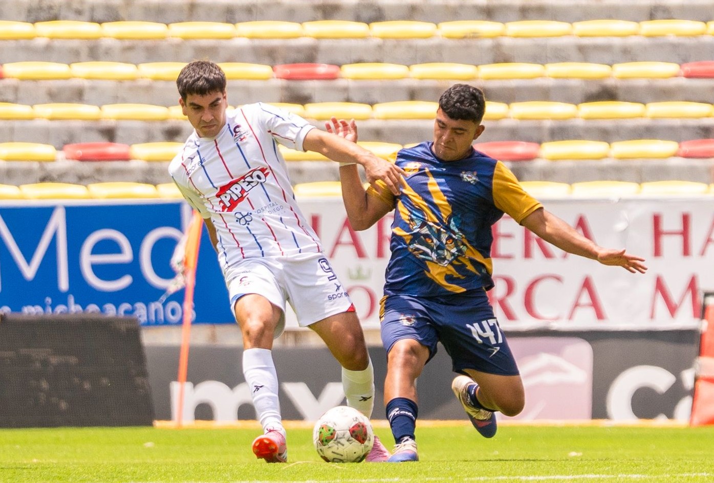 Cimarrones de Sonora futbol