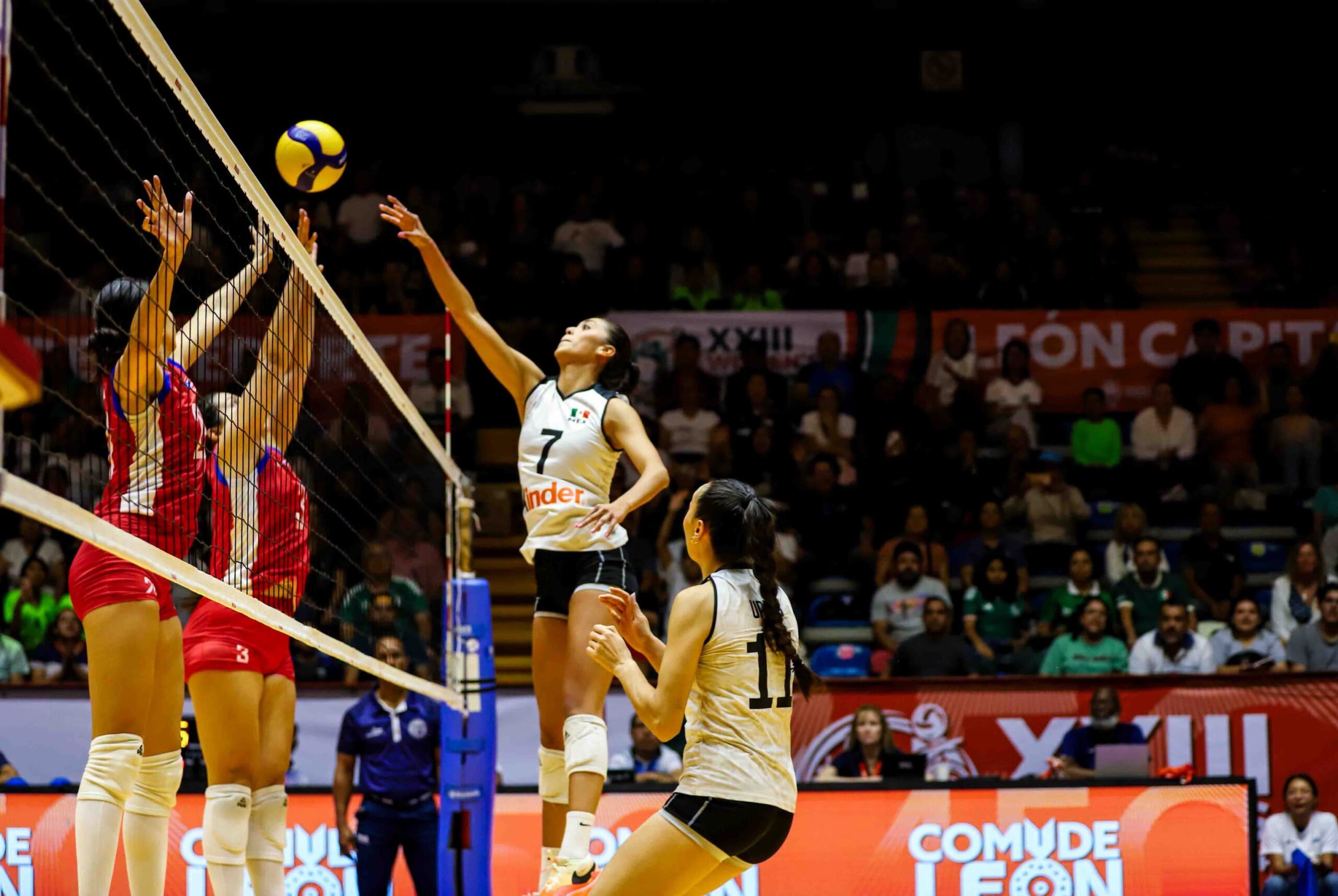 Argentina Ung voleibol